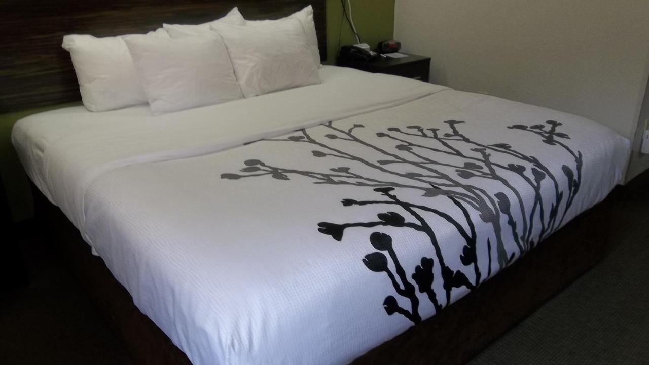 Sleep Inn Bryson City - Cherokee Area Esterno foto